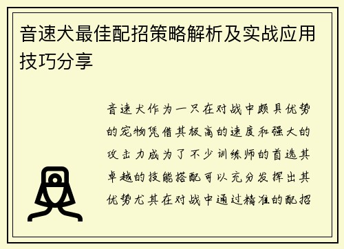 音速犬最佳配招策略解析及实战应用技巧分享